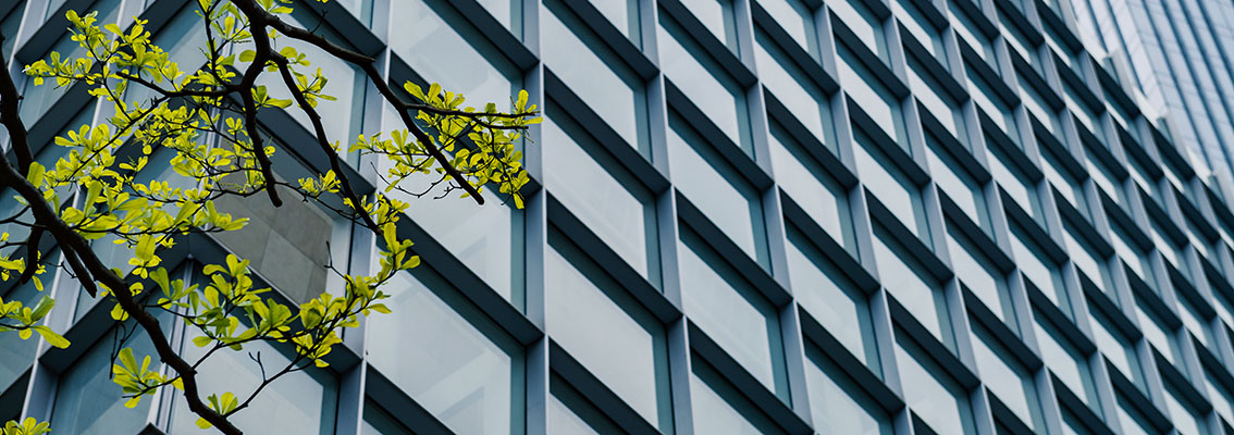 edificio con albero