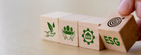 Stakeholder governance