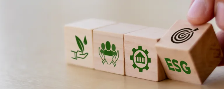 ESG Maturity Assessment