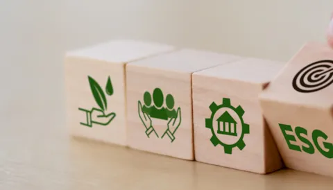 ESG Maturity Assessment