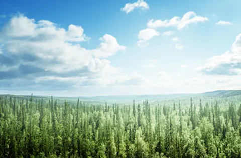 Snapshot dei risultati dell'audit sull'Ambiente