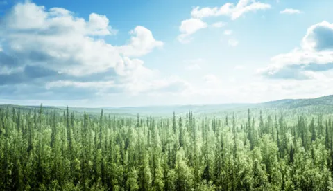 ViewPoint Espresso - Environmental Management snapshot