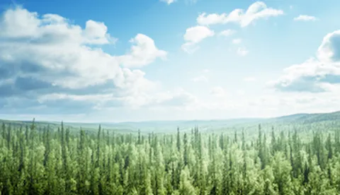 Espresso survey - Snapshot dei risultati dell'audit ambientale