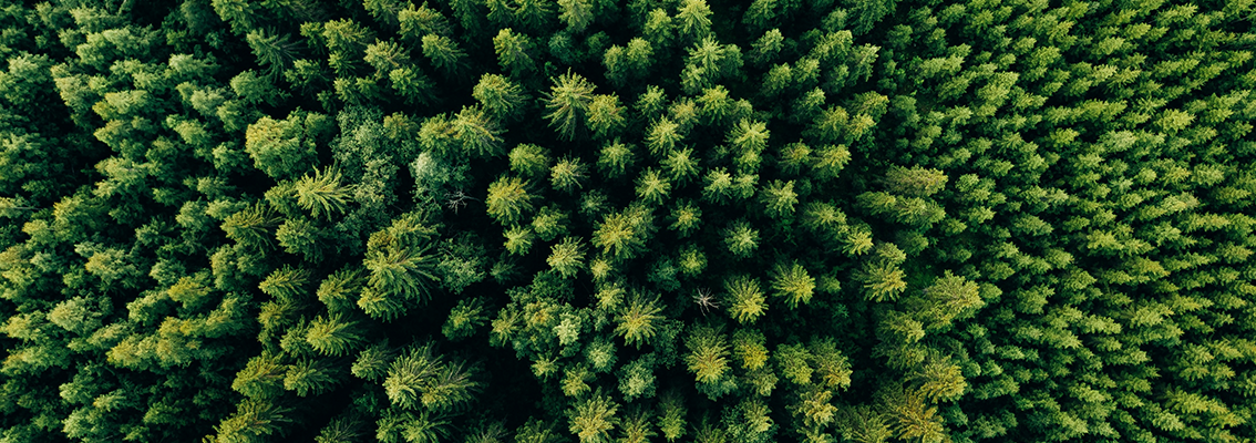 EMAS: Sistema di Ecogestione ed Audit