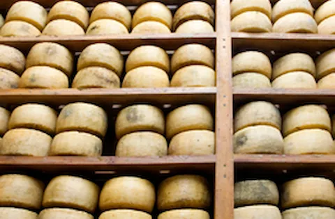 Percorso BRCGS Food per Lead Auditor