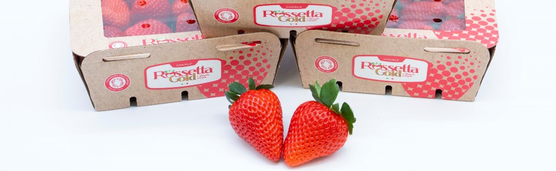 fragola con cassette di fragole