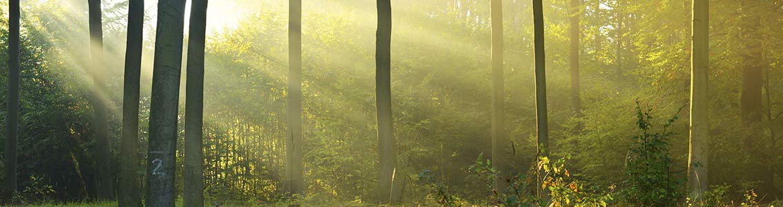 Processo  di elaborazione delle EPD - service1134x300