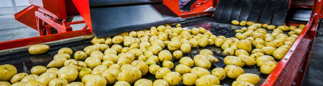 FSSC 22000 Versione 6: cosa cambia?