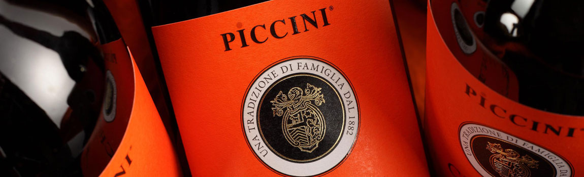 Gestione_Piccini1134x300