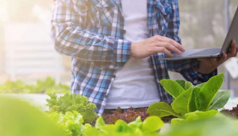 Information Security nel settore del Food & Beverage