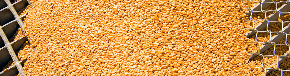 Certificazione GLOBAL GAP Compound Feed Manufacturing DNV GL