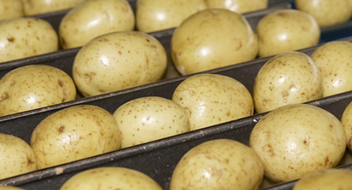 GLOBALG.A.P IFA Fruit and Vegetables