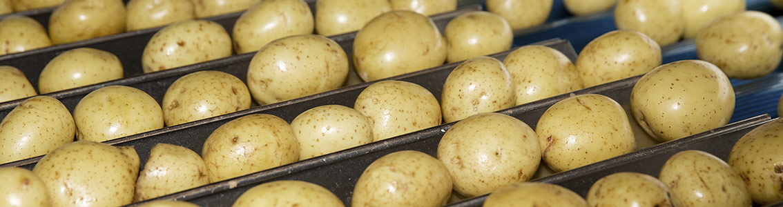 Certificazione GLOBALGAP IFA Fruit and vegetables DNV GL