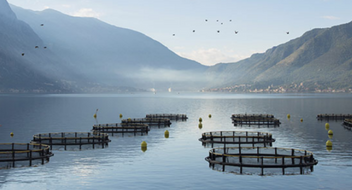 GLOBALG.A.P. IFA – Acquacoltura