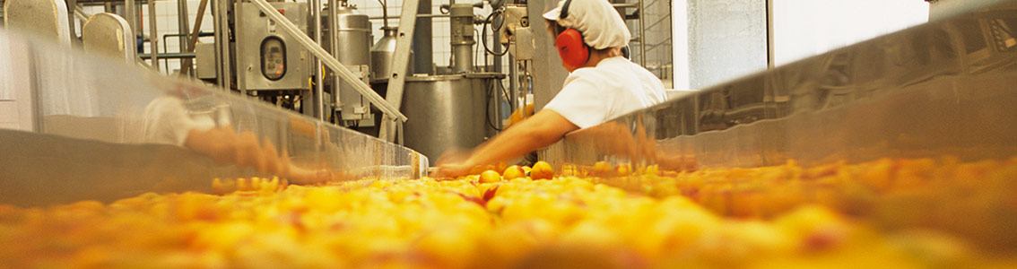 Certificazione no-OGM 