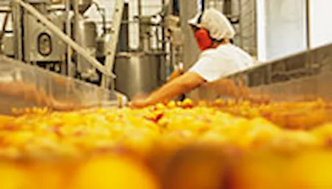Certificazione per materiali a contatto con alimenti