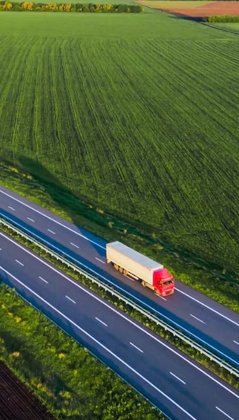 Camion sulla strada tra i campi