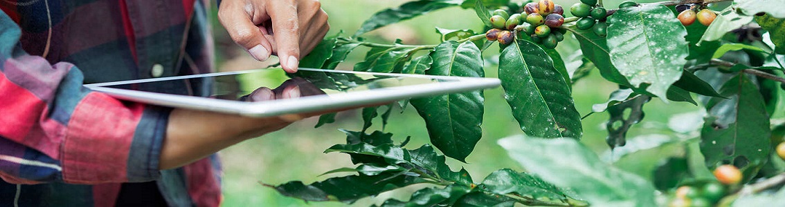 Introduzione ad IFS BROKER V. 3.2  – Corso Ufficiale IFS