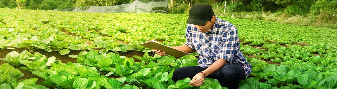 Introduzione alla FSSC 22000 Versione 6