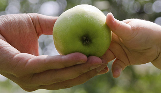 Prodotto Agroalimentare Free From