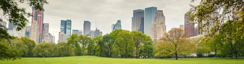 ISO 14001:2015