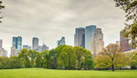 Certificazione ISO 14001: Gestione Ambientale