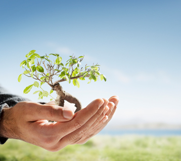 Certificazione ISO 14001: Sistema di gestione ambientale