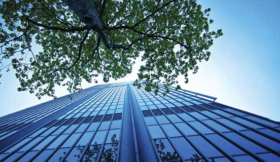 ISO 14001: Sistema di gestione ambientale