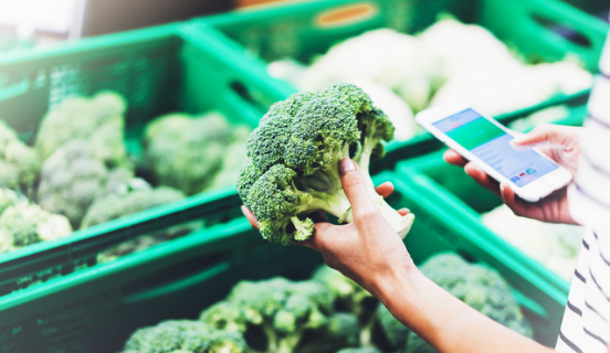 Introduzione a ISO 22000