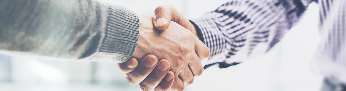 Stretta di mano