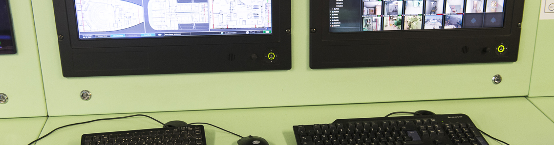 Istituti Vigilanza - UNI 10891 