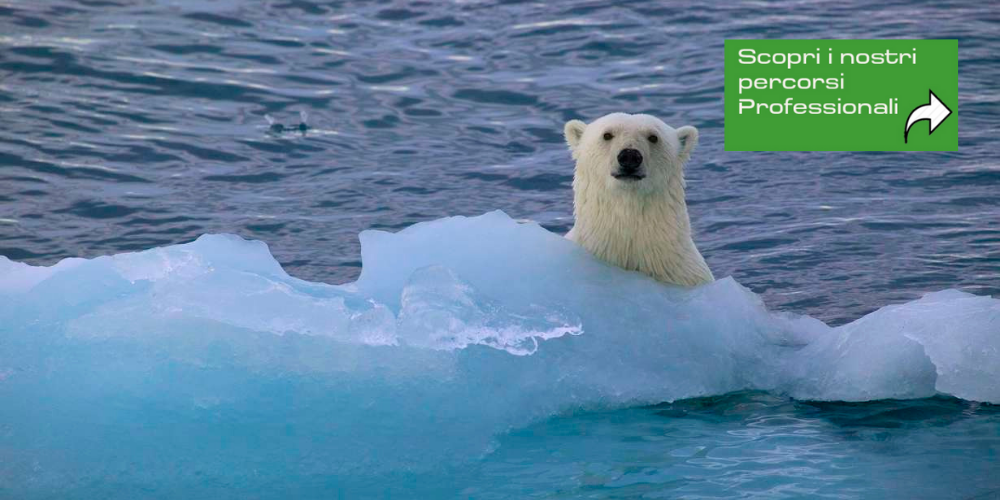 IT_Corso Inventario delle emissioni GHG delle organizzazioni e carbon footprint di prodotti e servizi