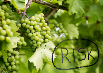 Percorso BRCGS Food per Auditor qualificato