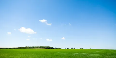 IT_Standard AFNOR XP X30-901 (1)