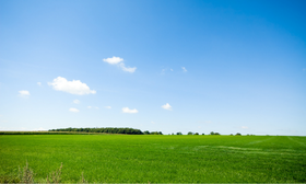 Lo standard AFNOR XP X30-901