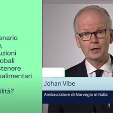 S.E. ambasciatore di norvegia in italia, Johan Vibe