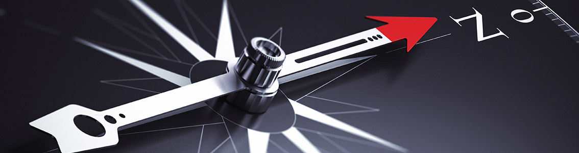 La bussola della sostenibilità