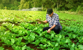 Certificazione LEAF Marque