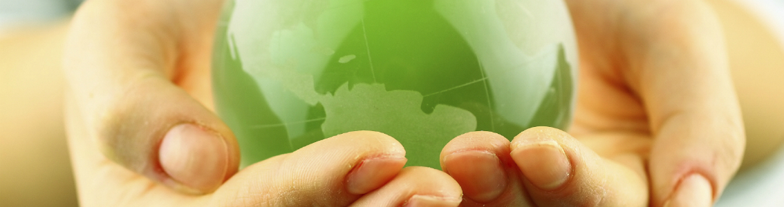 Approvvigionamento verde nel settore pubblico 1134x300pxl