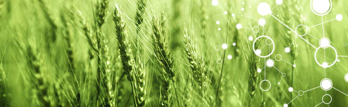 Crop field with genomics