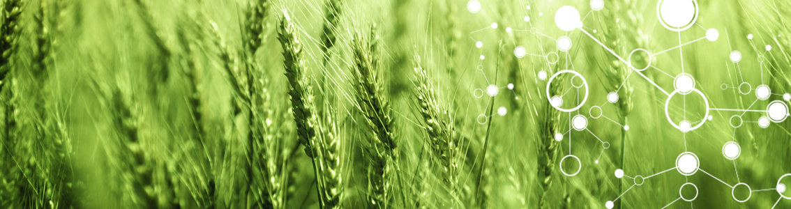 Field and genomics