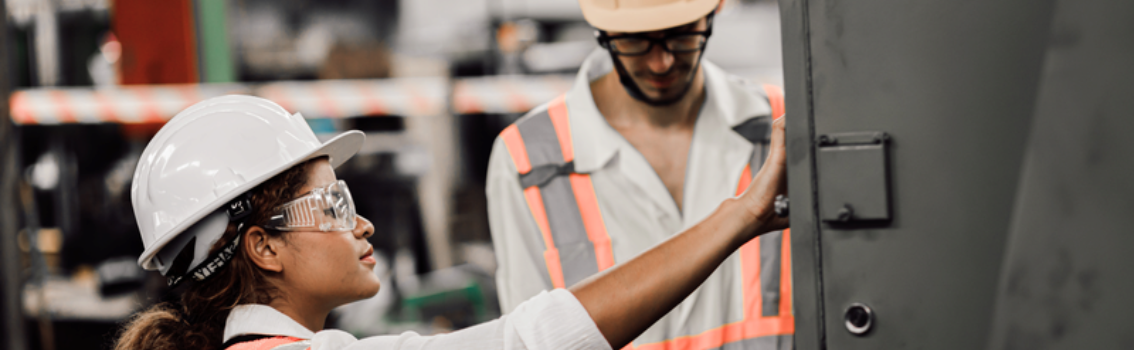 Male and female Workers_paritàdiGenere.png