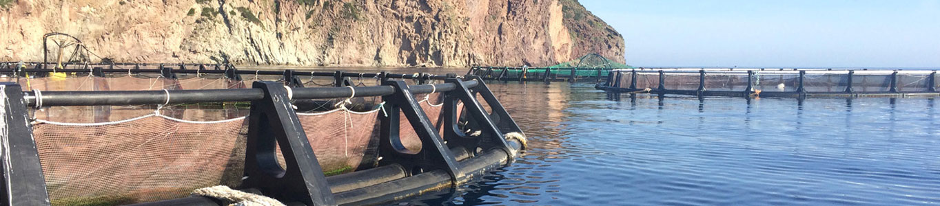 MariculturaCapraia_copyright_gabbie1364x300