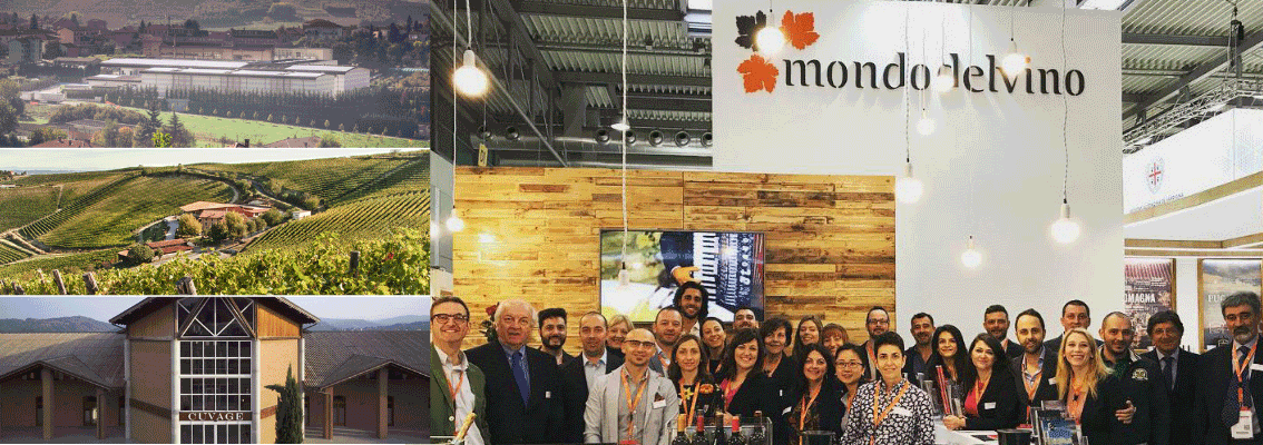 mondodelvino ISO 45001