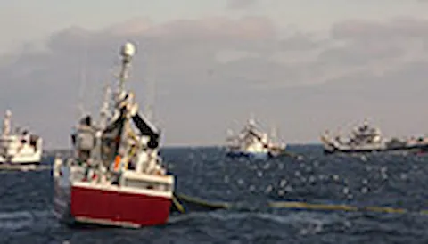 Standard MSC Fisheries per la pesca sostenibile