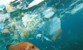 Operation Clean Sweep (OCS) – sistema di gestione delle perdite di pellet in plastica