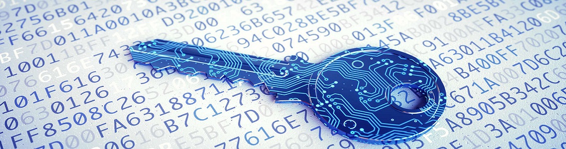 GDPR Privacy Specialist AICQ SICEV