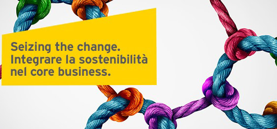 Seize the change. Integrare la sostenibilità nel core business.