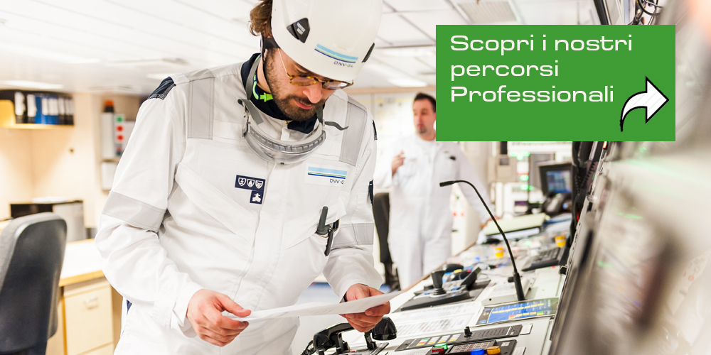 safety-assessor-mod-2