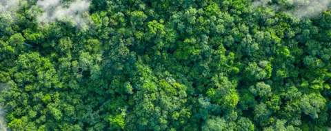 Science Based Targets